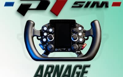 P1Sim Arnage: Moja szczera opinia na temat tej kierownicy